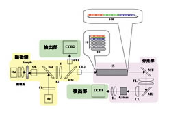 顕微鏡分光